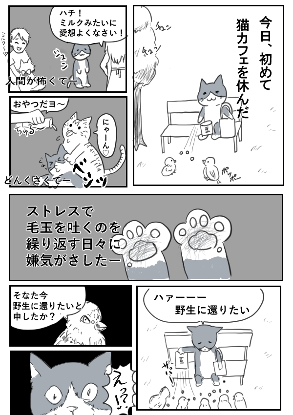 猫カフェ編 猫ちゃん人間ドルドラン 猫養ぴぃ 週刊少年vip Web漫画とweb小説の新都社