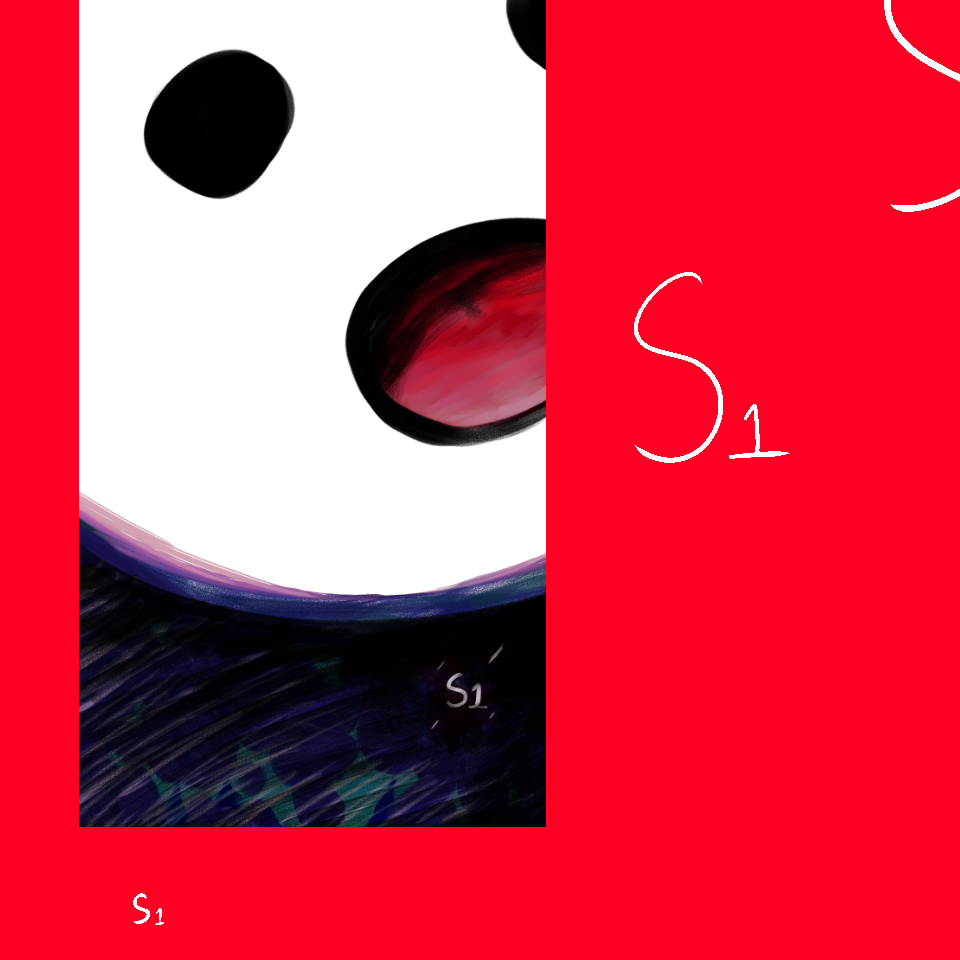 S1
