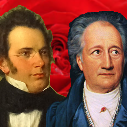 今更ながらシューベルトの野ばらを訳す。